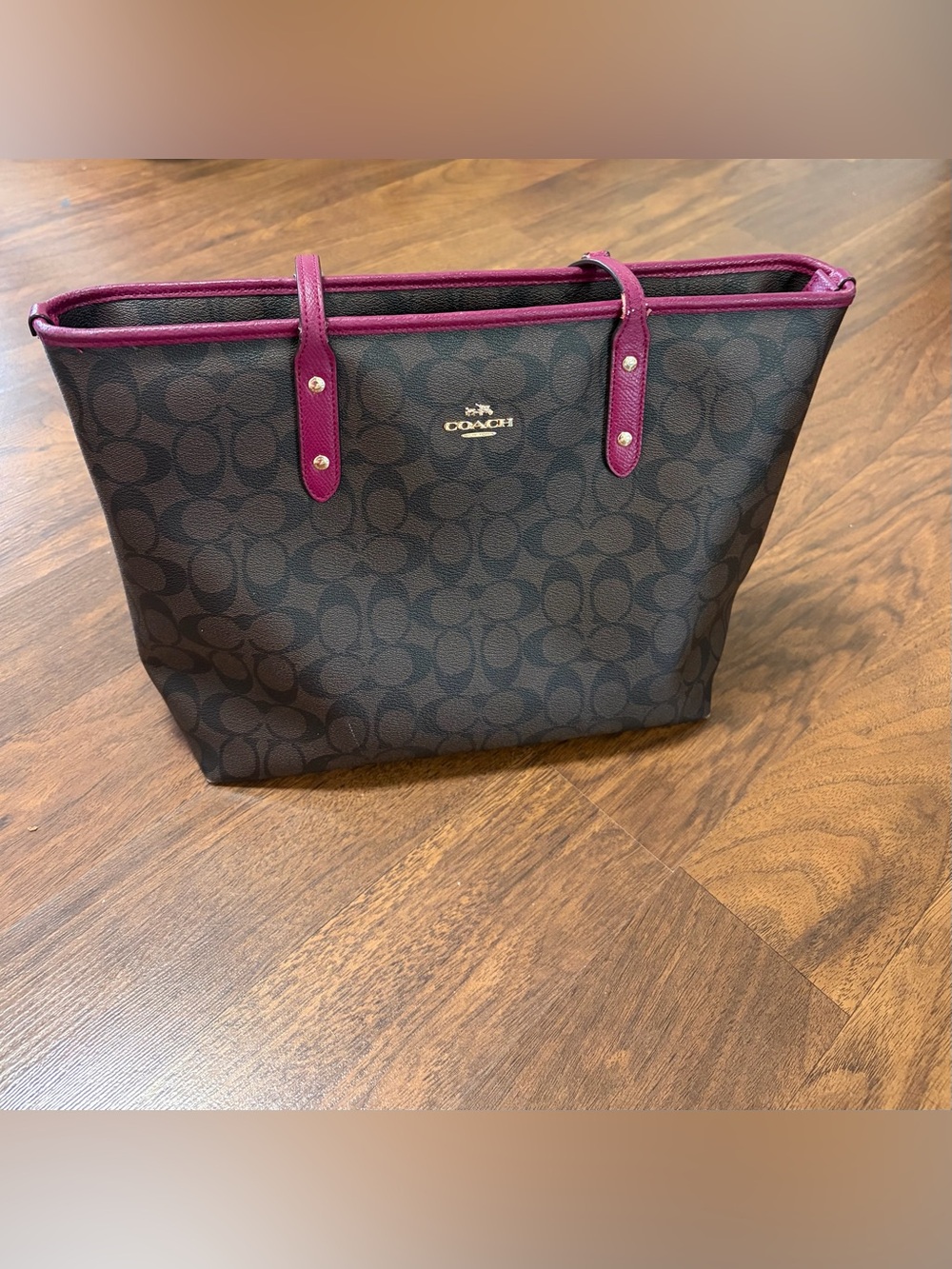 COACH Signature Tote